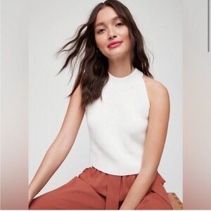 Aritzia Wilfred Crevier Sleeveless Knit High Neck Sweater